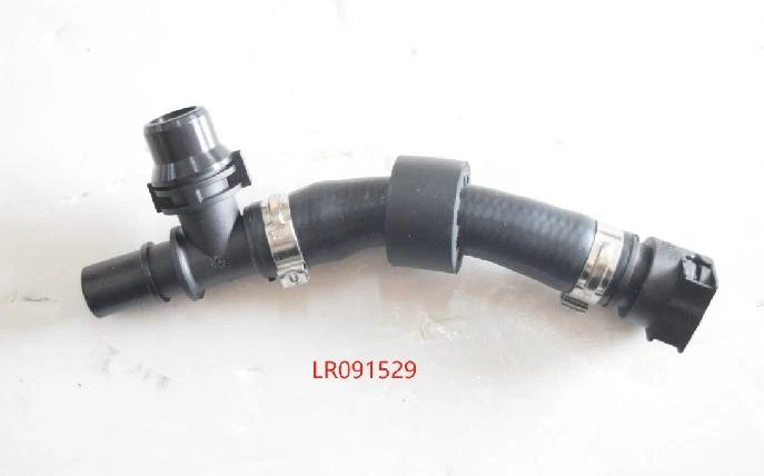 LR091529