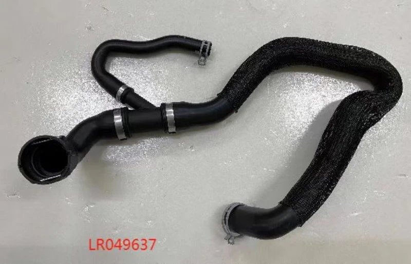 LR049637 LR049637
