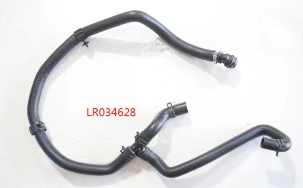 LR034628 LR034628