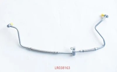 LR038163 LR038163