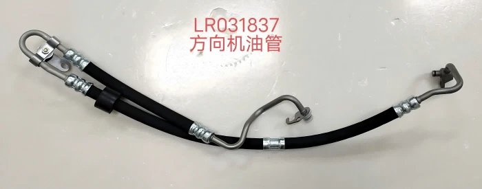 LR031837