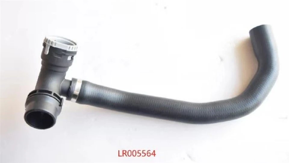 LR005564